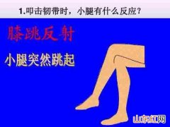 膝跳反射消失意味着什么