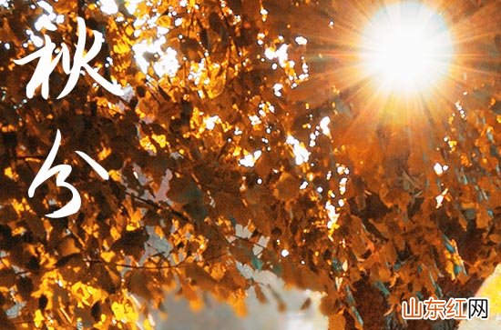 秋分为什么要竖蛋,秋分为什么竖鸡蛋