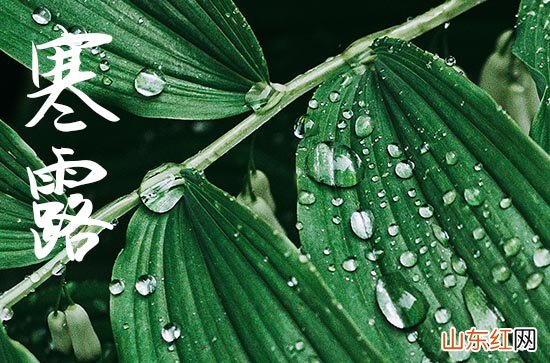 2023年寒露还热吗