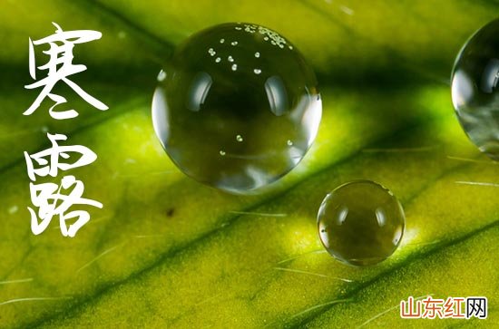 2023年寒露会冷吗