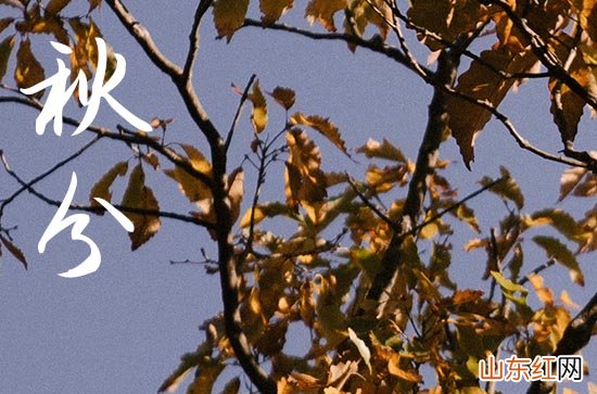 2023年秋分时间几点几分几秒