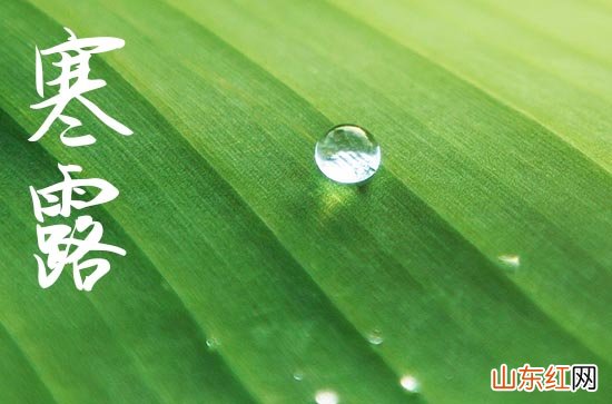 2023年寒露农历几月几日