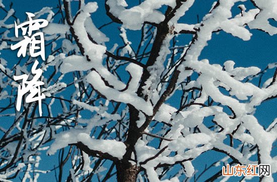 霜降发朋友圈的精美短句子