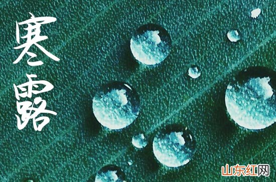 今年寒露是几日几时几分2023