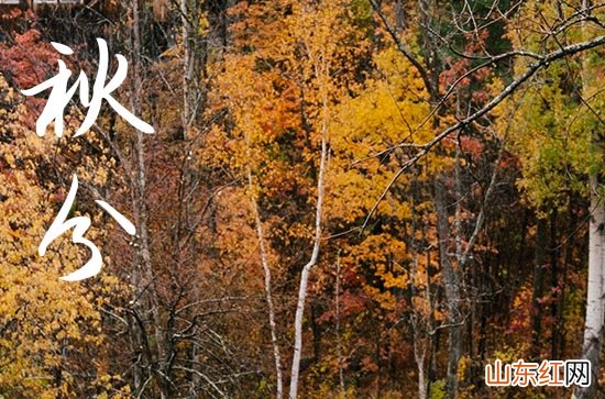 2023秋分结婚日子好吗 2023年秋分这一天能结婚吗