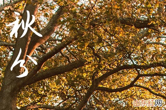 2023秋分时节的祝福谚语