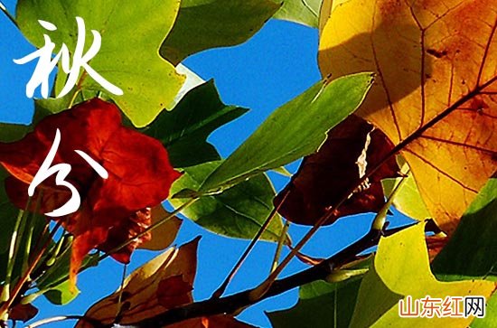 2023年秋分是几月几号几点几分 秋分节气的谚语