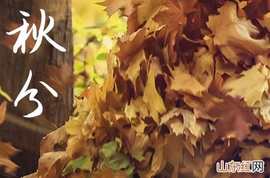 2023年秋分能不能动土秋天可以做这些