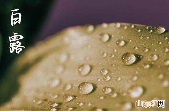 今天几点白露2023年