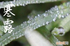 寒露属于第几个节气 寒露第几个节气