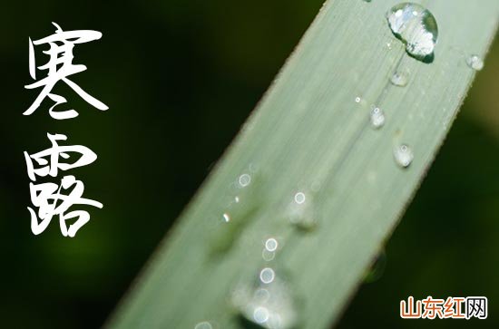 2023年几月几日寒露 2023年什么时候寒露