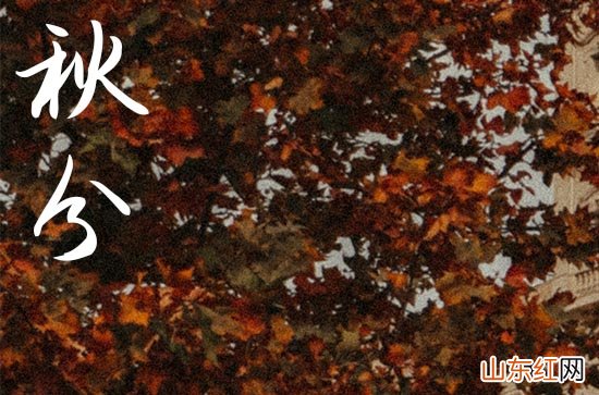 秋分竖蛋是什么意思 秋分竖蛋是生鸡蛋吗