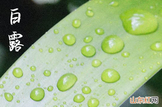 明天白露是什么时间2023年