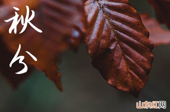 今日秋分文案句子