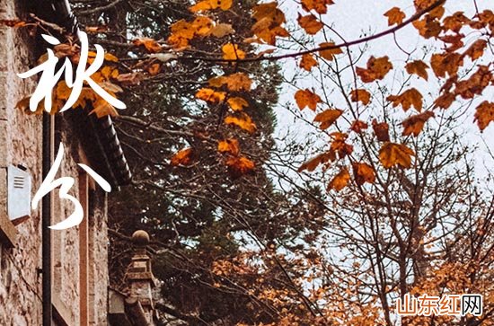 秋分文案寄语200句