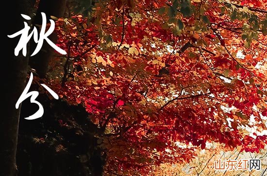 今年秋分是几点几分几秒2023