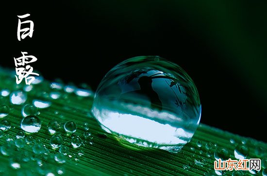 适合白露的文案朋友圈