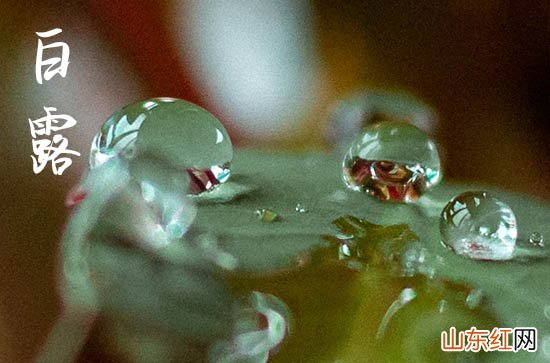 九月白露时节唯美说说