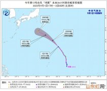 今年第12号台风“鸿雁”减弱为热带风暴级 未来将向西北方向快速移动