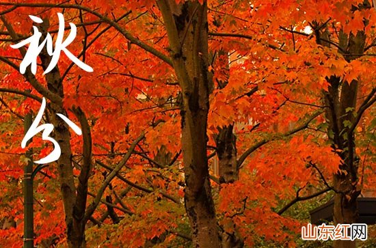 2023秋分温馨文艺的微信朋友圈说说祝福语大全 秋天经典说说