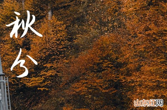 2023年秋分能不能理发 2023年秋分这天的禁忌要记住