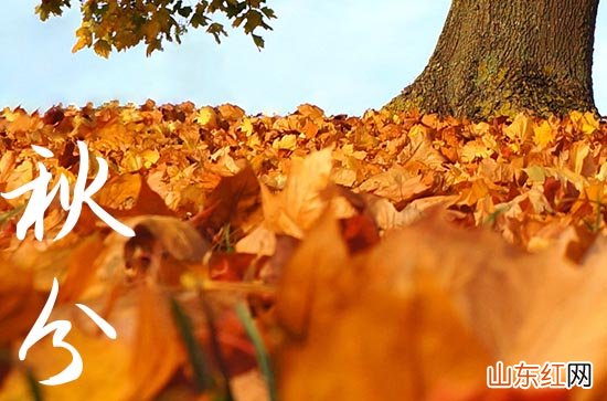 2023秋分结婚日子好吗