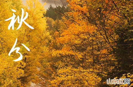 2023年秋分应该吃什么饭 2023年秋分这三样是明星菜品