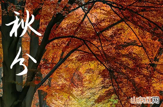 2023年秋分应该吃的食物有哪些 2023年秋分这三个可以试一试