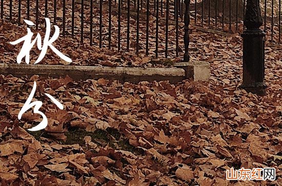 2023年秋分能不能动土秋天可以做预防寒冷