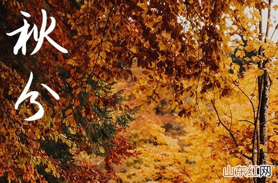 2023年秋分能不能出门 出门要干什么