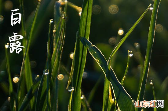 2023白露是几月几日星期几