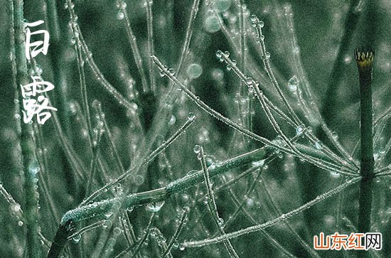 2023白露是什么季节的节气