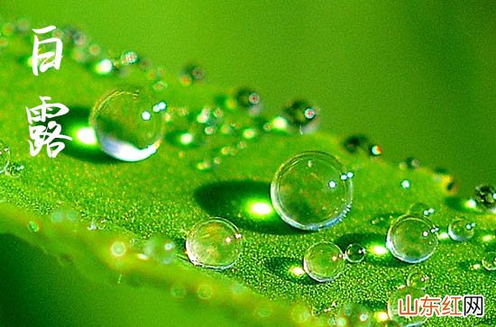 2023年白露白露未曦是什么时间 白露的现象