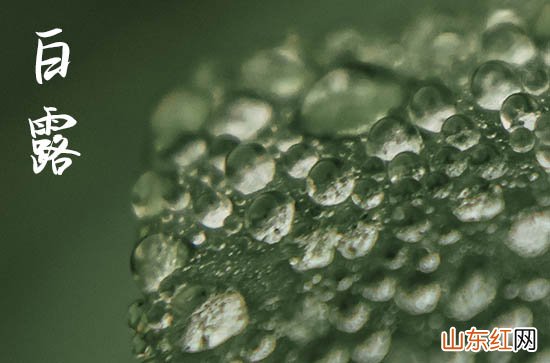 2023年白露后13天交运吗 白露后超简单的转运方法