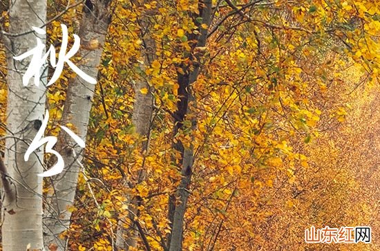 2023秋分下雨有什么说法 秋分下雨预示着什么