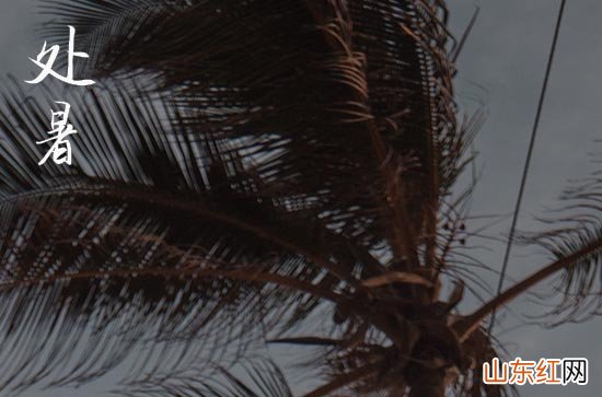 明日处暑是几点,2023年什么时候处暑