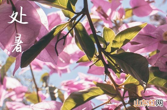 处暑以后还用开空调吗 处暑以后怎么吹空调好