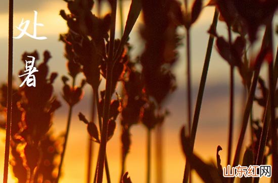 描写处暑节气的优美句子