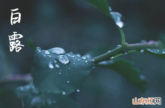 2023年广东白露过了就凉了吗 广东白露过了天气有什么变化