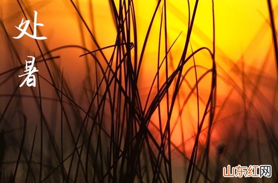 2023年处暑是几月几日几点几分几秒 处暑吃什么食物养生
