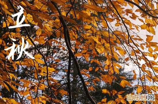 2023立秋后几天出伏 立秋之后还要热多久