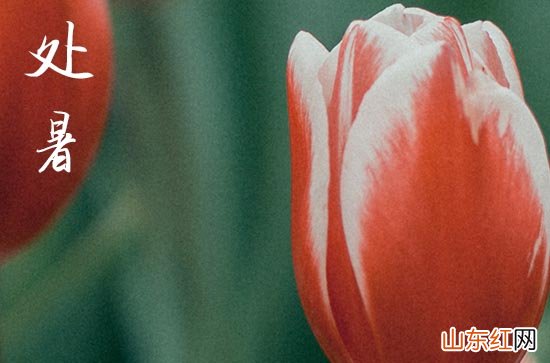 2023处暑出生的人命好不好 处暑出生的孩子性格如何2023