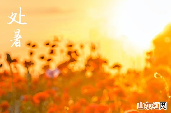 2023处暑是几月几号 处暑时间2023几点几分几秒