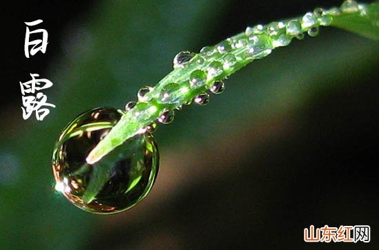 白露节气是在几点几分