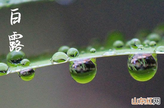 2023白露时间是几点几分