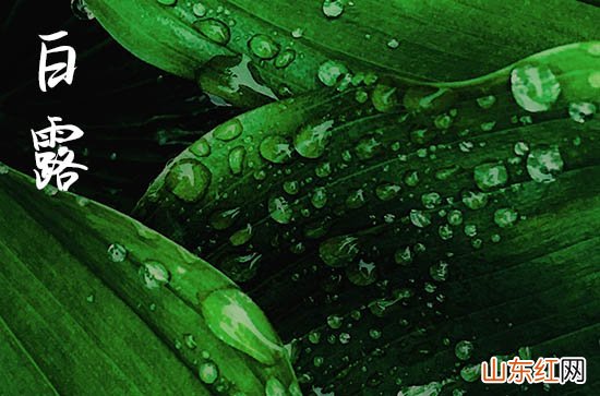 2023今年白露是几月几日几点