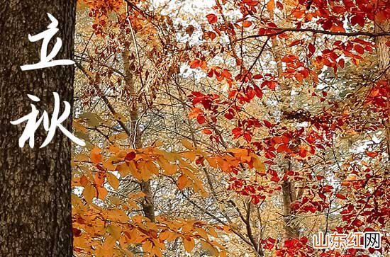 晚立秋是什么意思 晚立秋是指什么时候