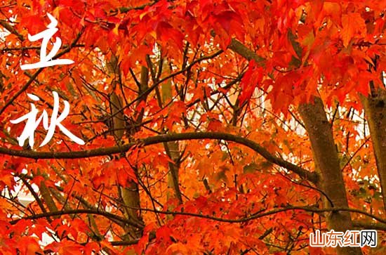 今日立秋具体时间早晨还是下午,2023年立秋是早是晚