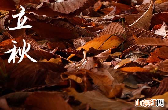 2023年立秋几时几分 立秋的传统习俗是什么