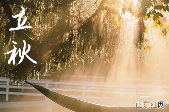 今日立秋几点几分,2023年立秋是哪天